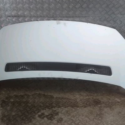 Capot Peugeot EXPERT Camionnette (VF3A_, VF3U_, VF3X_) 1.6 hdi 90 8v (2007)