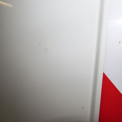 Porte battante arrière droite Renault TRAFIC III Camionnette (FG_) 1.6 dci 120 (fgmk) (2015)