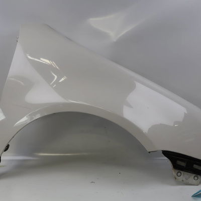 Aile avant droite Volkswagen GOLF V (1K1) 2.0 tdi 16v (2003-2008)