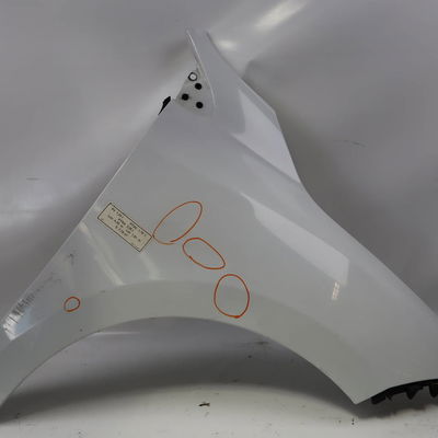 Aile avant droite Renault MEGANE III 3-5 portes (BZ0-1_, B3_) 1.5 dci (bz0c) (2008-2015) 5 portes