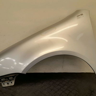 Aile avant gauche Volkswagen GOLF V (1K1) 1.9 tdi (2003-2008) 5 portes