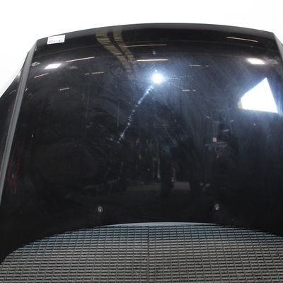 Capot Kia SPORTAGE II (JE_, KM) 2.0 crdi (2006-2010)