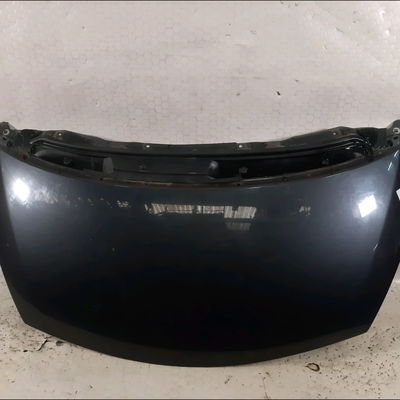 Capot Renault ESPACE IV (JK0-1_) 2.0 dci (jk03, jk04, jk1c, jk1g, jk1j, jk1k) (2006) 5 portes