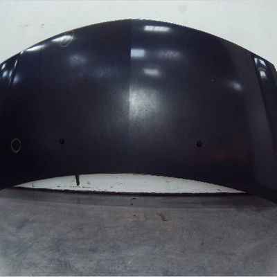 Capot Renault CLIO III (BR0-1, CR0-1) 1.5 dci (br17, cr17) (2005-2012) 5 portes