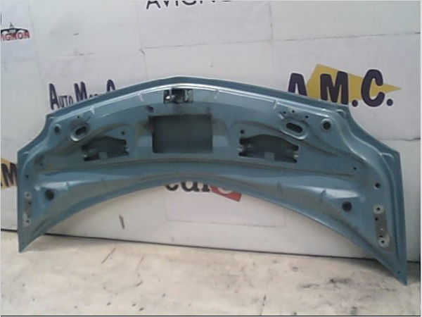 Capot Renault MODUS - GRAND MODUS (F-JP0_) 1.2 (jp0c, jp0k, fp0c, fp0k, fp0p, jp0p, jp0t) (2004) 5 portes