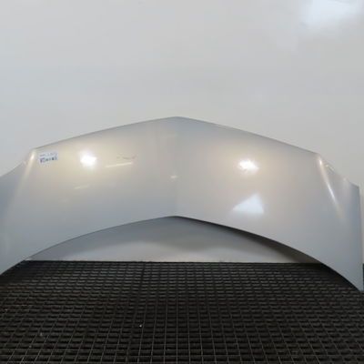 Capot Renault MODUS - GRAND MODUS (F-JP0_) 1.2 (jp0c, jp0k, fp0c, fp0k, fp0p, jp0p, jp0t) (2004) 5 portes