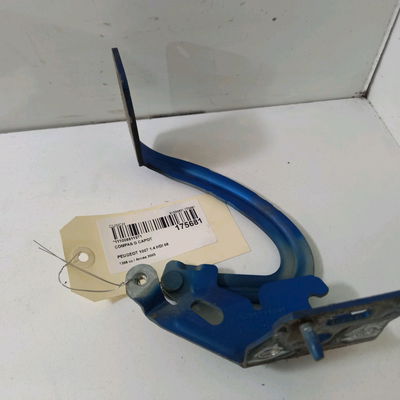 Compas g capot Peugeot 1007 (KM_) 1.4 hdi (2005)