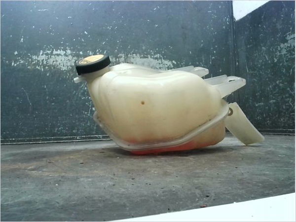 Vase expansion Toyota RAV 4 II (_A2_) 2.0 d 4wd (cla20_, cla21_) (2001-2005)