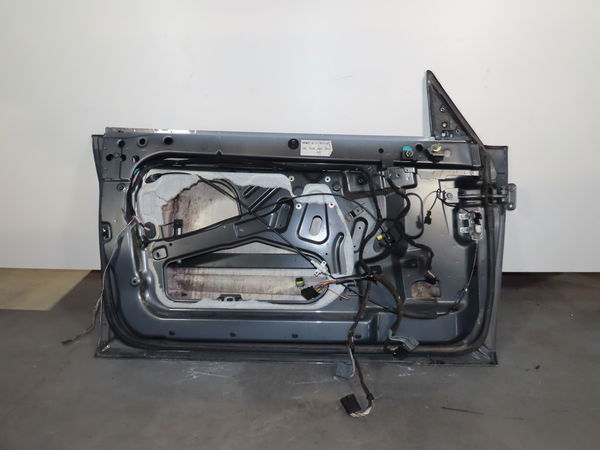 Porte avant gauche Renault AVANTIME (DE0_) 2.2 dci (de01) (2002-2003)