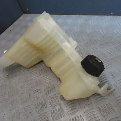 Vase expansion RENAULT LAGUNA