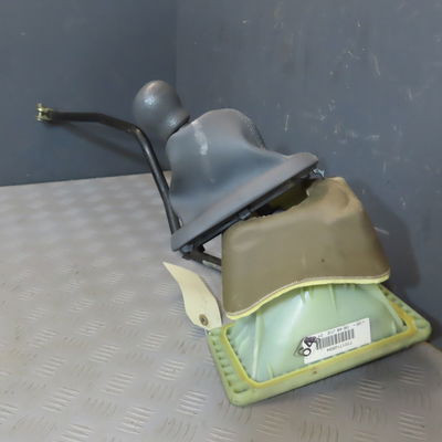 Levier de vitesses RENAULT CLIO