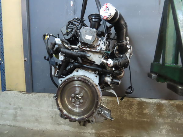 Moteur diesel VOLKSWAGEN POLO