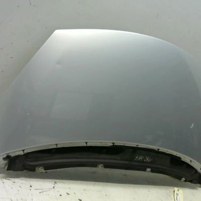Capot Renault ESPACE IV (JK0-1_) 2.2 dci (jk0h) (2002-2006)