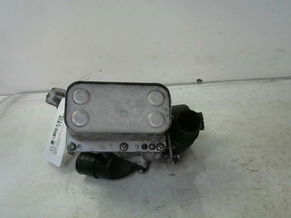 Support filtre a huile Renault MEGANE III 3-5 portes (BZ0-1_, B3_) 2.0 dci (bz0y) (2010)